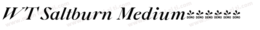 WT Saltburn Medium字体转换